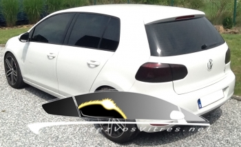 Volkswagen Golf 6